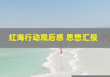 红海行动观后感 思想汇报